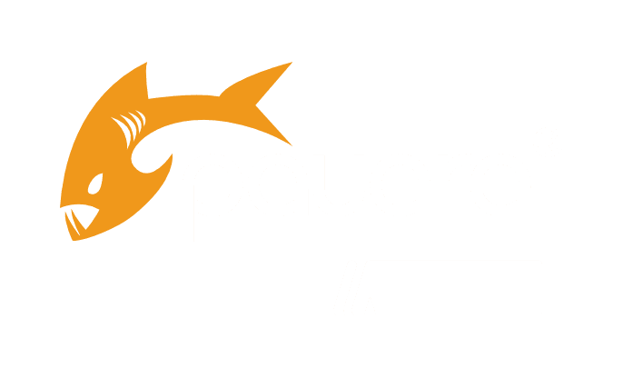 Payara Micro
