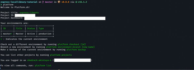 A screenshot of a terminal showing the details of a Platform.sh project via the cli.